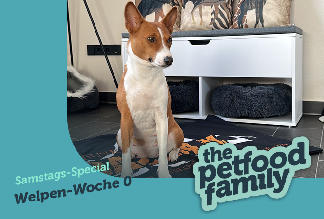 Podcast Header Welpen Woche 0 