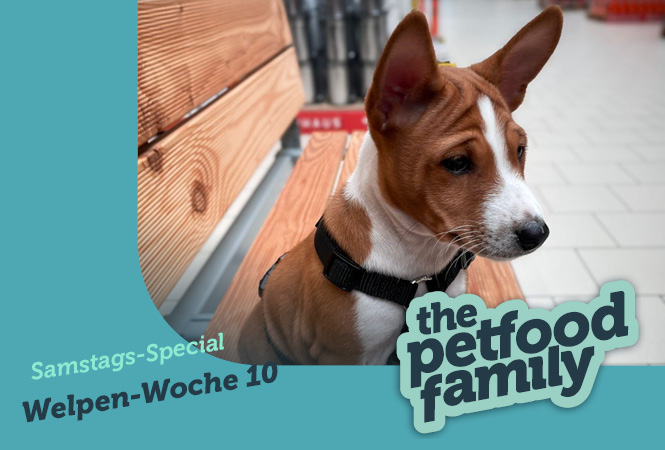 mera the Petfood Family Podcast Special Woche 10
