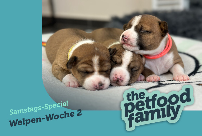 mera the Petfood Family Podcast Special Woche 2