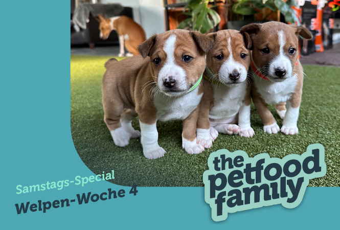 mera the Petfood Family Special Woche 4