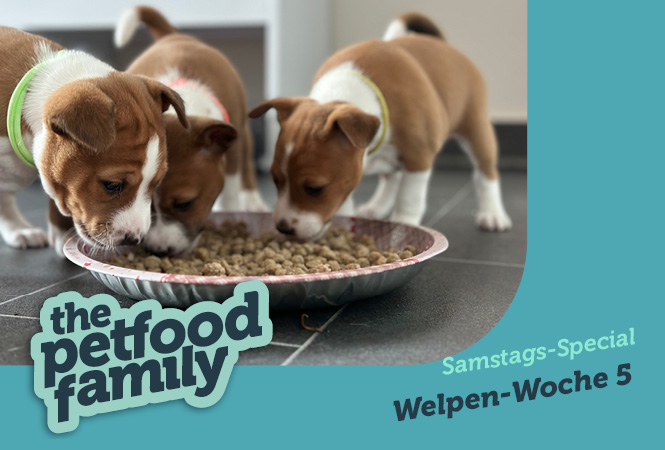 mera the Petfood Family Podcast Samstag Special Woche 5