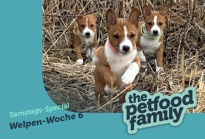mera the Petfood Family Podcast Samstag Special Woche 6