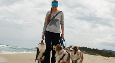 The Petfood Family Podcast Folge 108 Teaserbild The Petfood Family Podcast Folge 108 Teaserbild