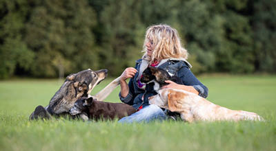 The Petfood Family Podcast Folge 113 Teaserbild The Petfood Family Podcast Folge 113 Teaserbild