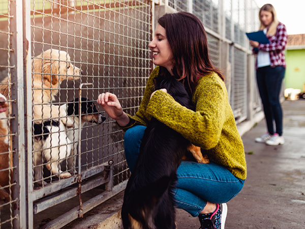 Frau besucht Hund im Tierheim Frau besucht Hund im Tierheim