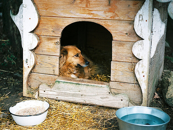 mera Petfood - Alternative Hundehaltung mera Petfood - Alternative Hundehaltung