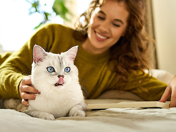 Katze mit junger Frau auf einer Decke und die Katze leckt sich den Mund Katze mit junger Frau auf einer Decke und die Katze leckt sich den Mund