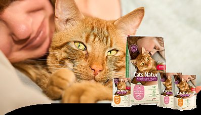 Cats Nature Realstory Teaser Uta & Pumpkin Cats Nature Realstory Teaser Uta & Pumpkin