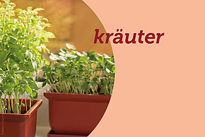 tierernährung - kräuter