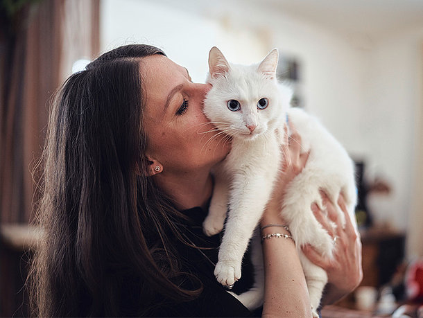 mera Ratgeber Katze Wohlfühlen mera Ratgeber Katze Wohlfühlen