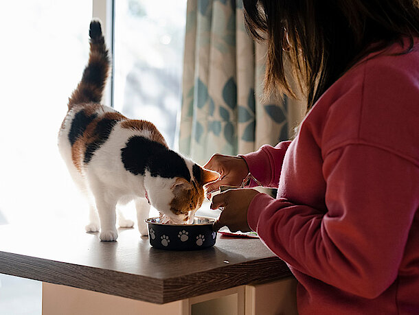 Frau kocht während Katze auf der Anrichte steht