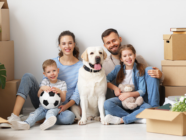 mera Ratgeber Hund und Familie