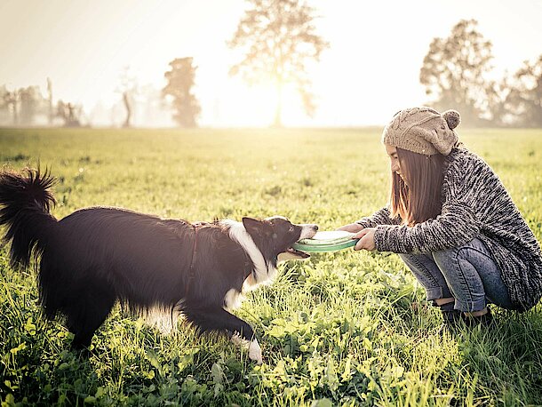 Frau spielt mit ihrem Hund Frisbee Frau spielt mit ihrem Hund Frisbee