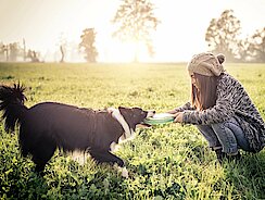 Frau spielt mit ihrem Hund Frisbee Frau spielt mit ihrem Hund Frisbee