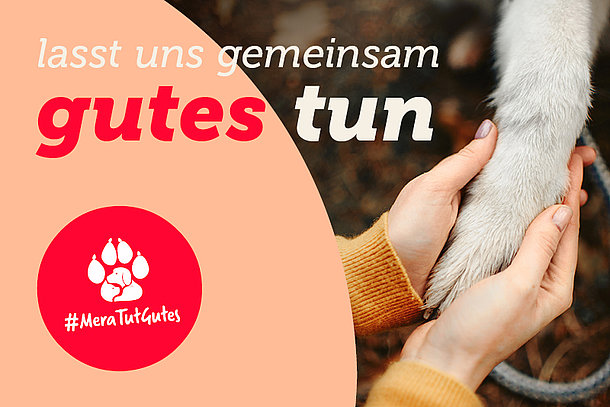 mera Charity Spendenübergabe