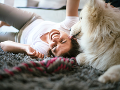 mera Ratgeber Hund und Mensch mera Ratgeber Hund und Mensch