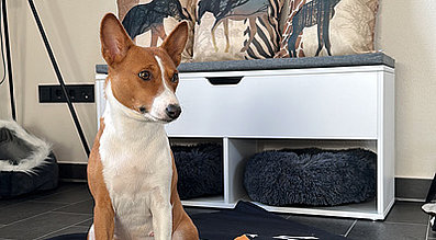 mera the Petfood Family Podcast Welpe