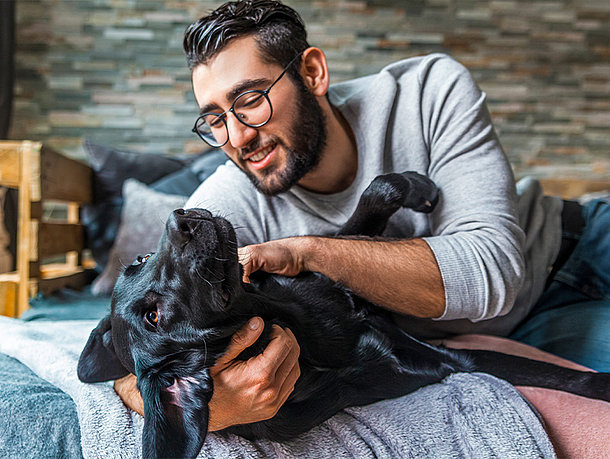 mera petfood hunde ratgeber anschaffung