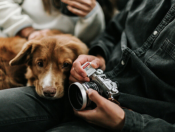 mera petfood hunderatgeber - filmhunde mera petfood hunderatgeber - filmhunde