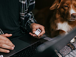 Hund sitzt neben Mann mit Laptop