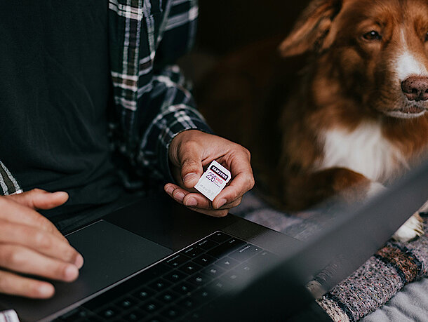 Hund sitzt neben Mann mit Laptop Hund sitzt neben Mann mit Laptop
