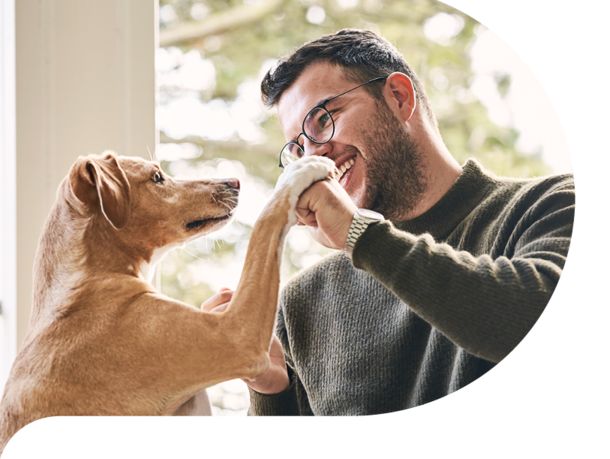 mera petfood - Hunde-Ratgeber mera petfood - Hunde-Ratgeber