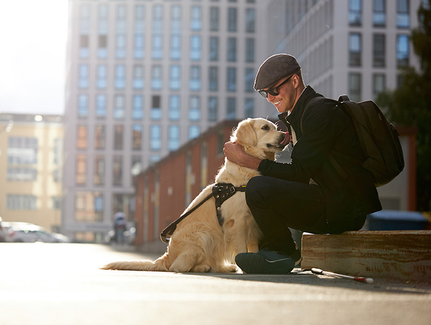 mera petfood hunderatgeber - assistenzhunde