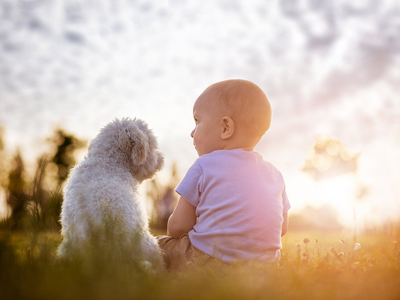 Futtermittelallergie? Kein Problem!