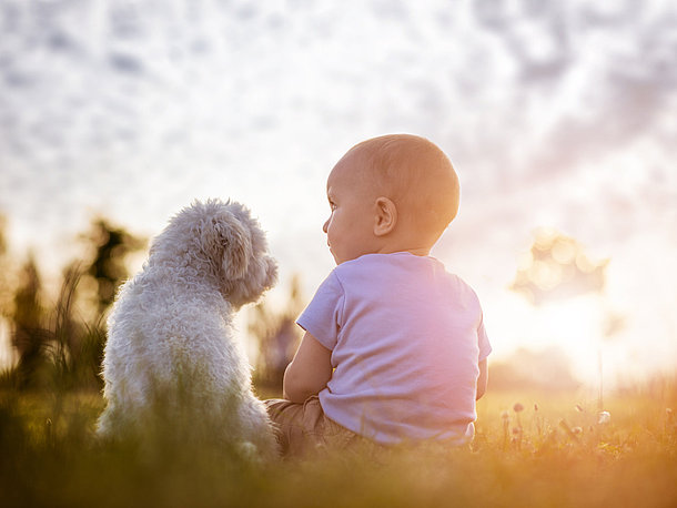 Futtermittelallergie? Kein Problem!