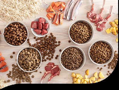 mera Futternäpfe mit Zutaten mera Futternäpfe mit Zutaten