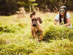 mera Ratgeber glücklicher Hund