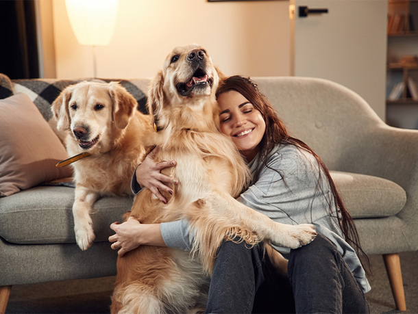 mera Petfood - Alternative Hundehaltung