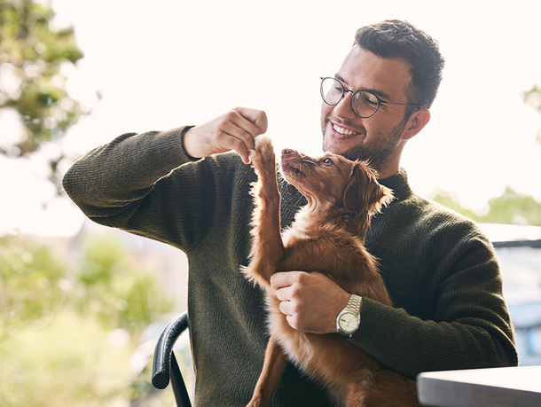 Hund bekommt Leckerli