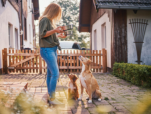 Frau füttert zwei Hunde und auf einer Auffahrt