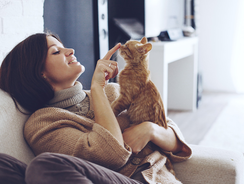 mera Ratgeber Hauskatze mera Ratgeber Hauskatze