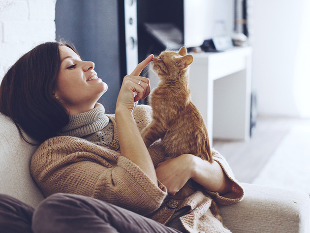 mera Ratgeber Hauskatze mera Ratgeber Hauskatze