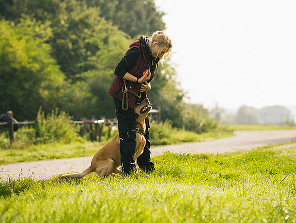 Frau steht mit ihrem Hund auf einer Wiese Frau steht mit ihrem Hund auf einer Wiese