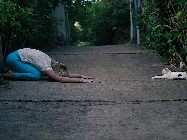 mera Petfood Katzenratgeber . Katzenyoga