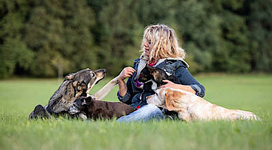 The Petfood Family Podcast Folge 113 Teaserbild The Petfood Family Podcast Folge 113 Teaserbild