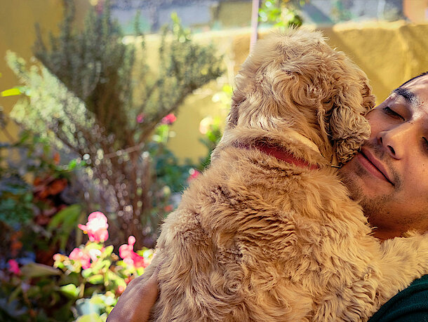 Hund wird von Mann umarmt Hund wird von Mann umarmt