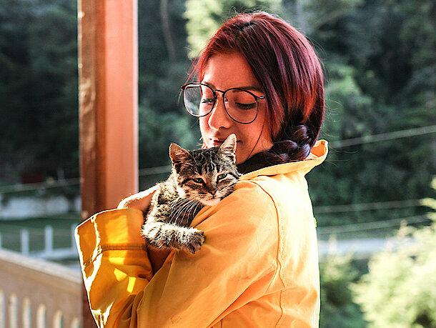 Kranke Katze auf dem Arm einer Frau 