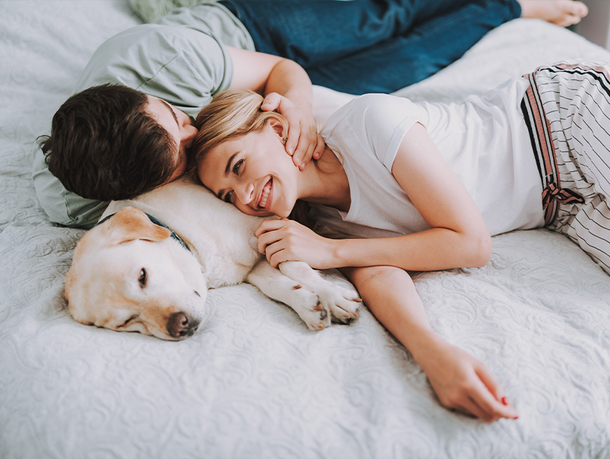 mera Petfood Hunderatgeber - Sex vor dem Hund