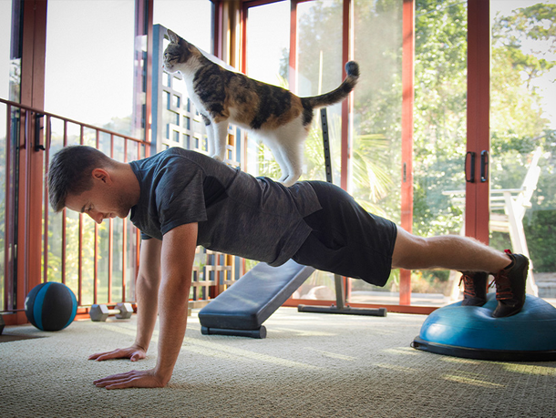 mera Petfood Katzenratgeber . Katzenyoga mera Petfood Katzenratgeber . Katzenyoga