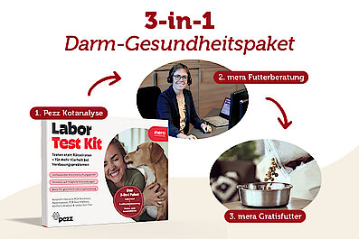 mera x Pezz Kooperation Newsbanner