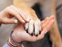 mera Ratgeber Vertrauen