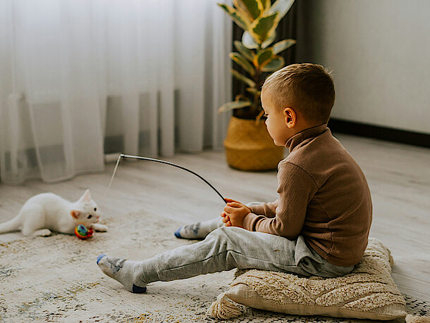 Kitten mit Jungen am spielen 