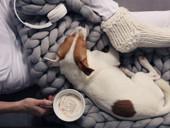 mera Ratgeber- Glücksgefühle mera Ratgeber- Glücksgefühle