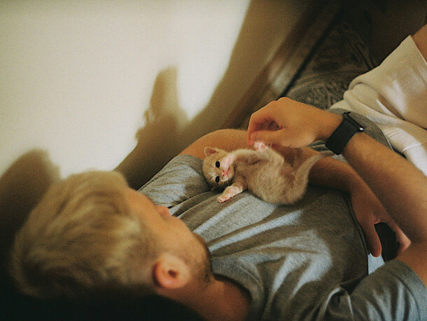 Kitten liegt bei Mann auf der Brust 