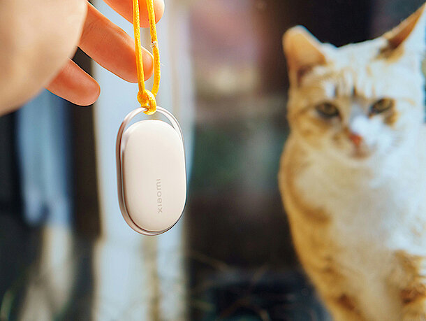Katze schaut Clicker an der ihr hingehalten wird 