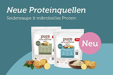 Brandpage News: Zwei neue Wege für eine sensible Ernährung – Seidenraupe & Mikroprotein Brandpage News: Zwei neue Wege für eine sensible Ernährung – Seidenraupe & Mikroprotein